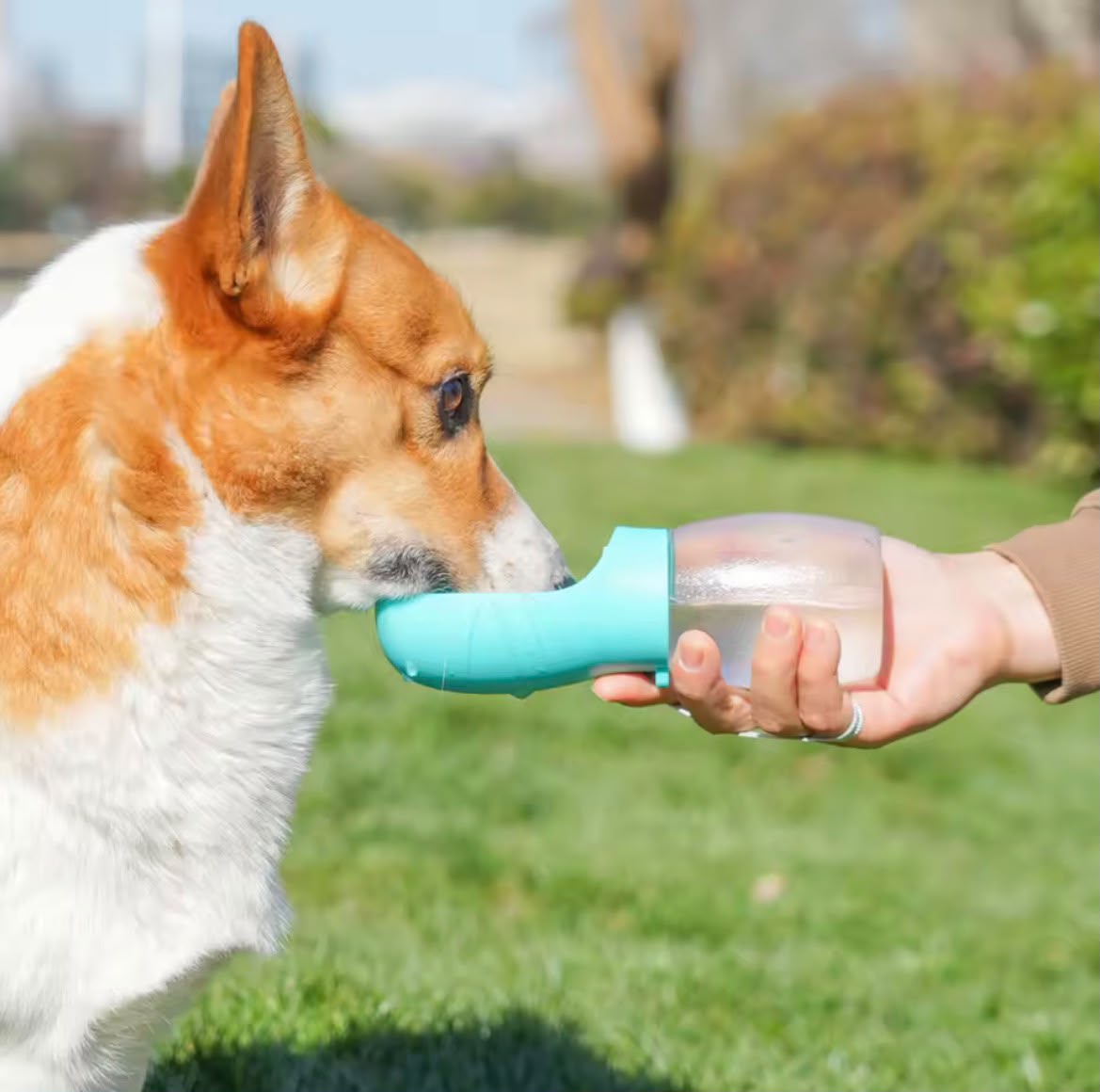 Botella Bebedero Portátil para Perros y Gatos · 300 ml